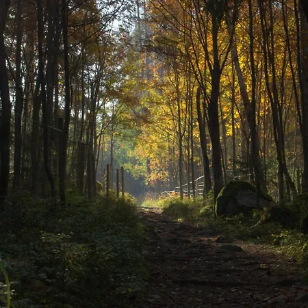 With Stunning View And Private * Hattusaari