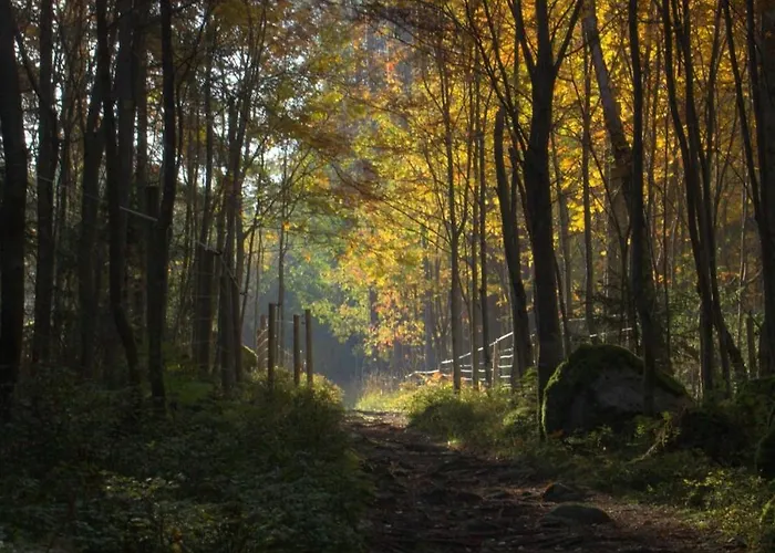 With Stunning View And Private * Hattusaari